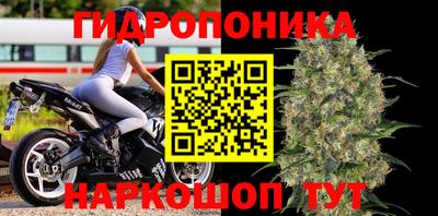 ALPHA PVP Сланцы