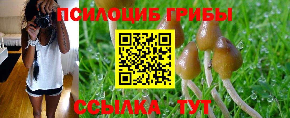 Галлюциногенные грибы MAGIC MUSHROOMS  Вход с VPN  Новокубанск 