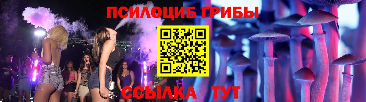 Галлюциногенные грибы Psilocybine cubensis Новокубанск
