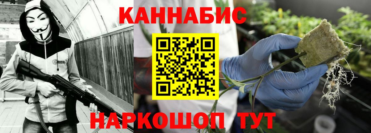МАРИХУАНА конопля Новокубанск